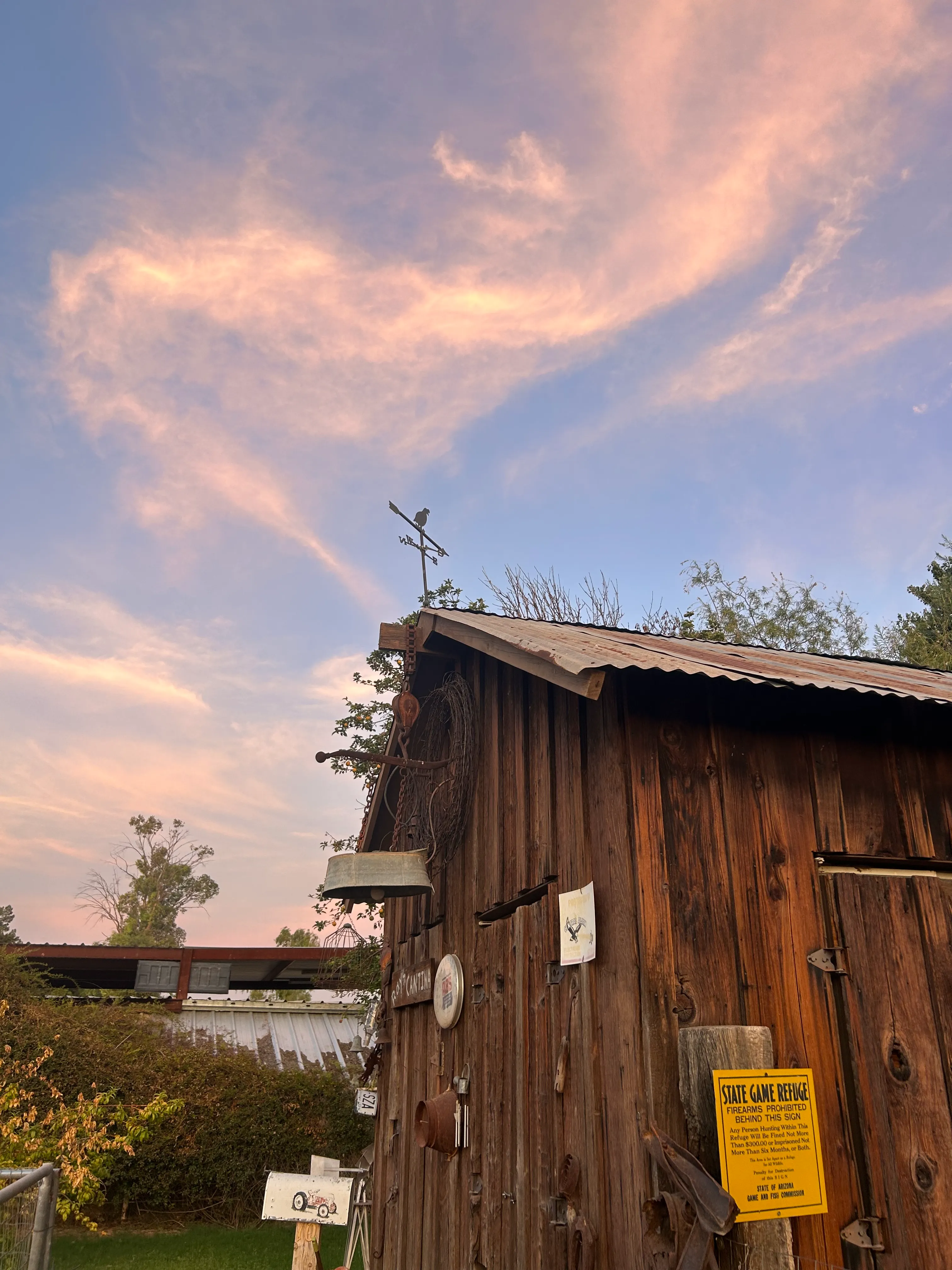 Historic barn in front of peach tree and Arizona sky