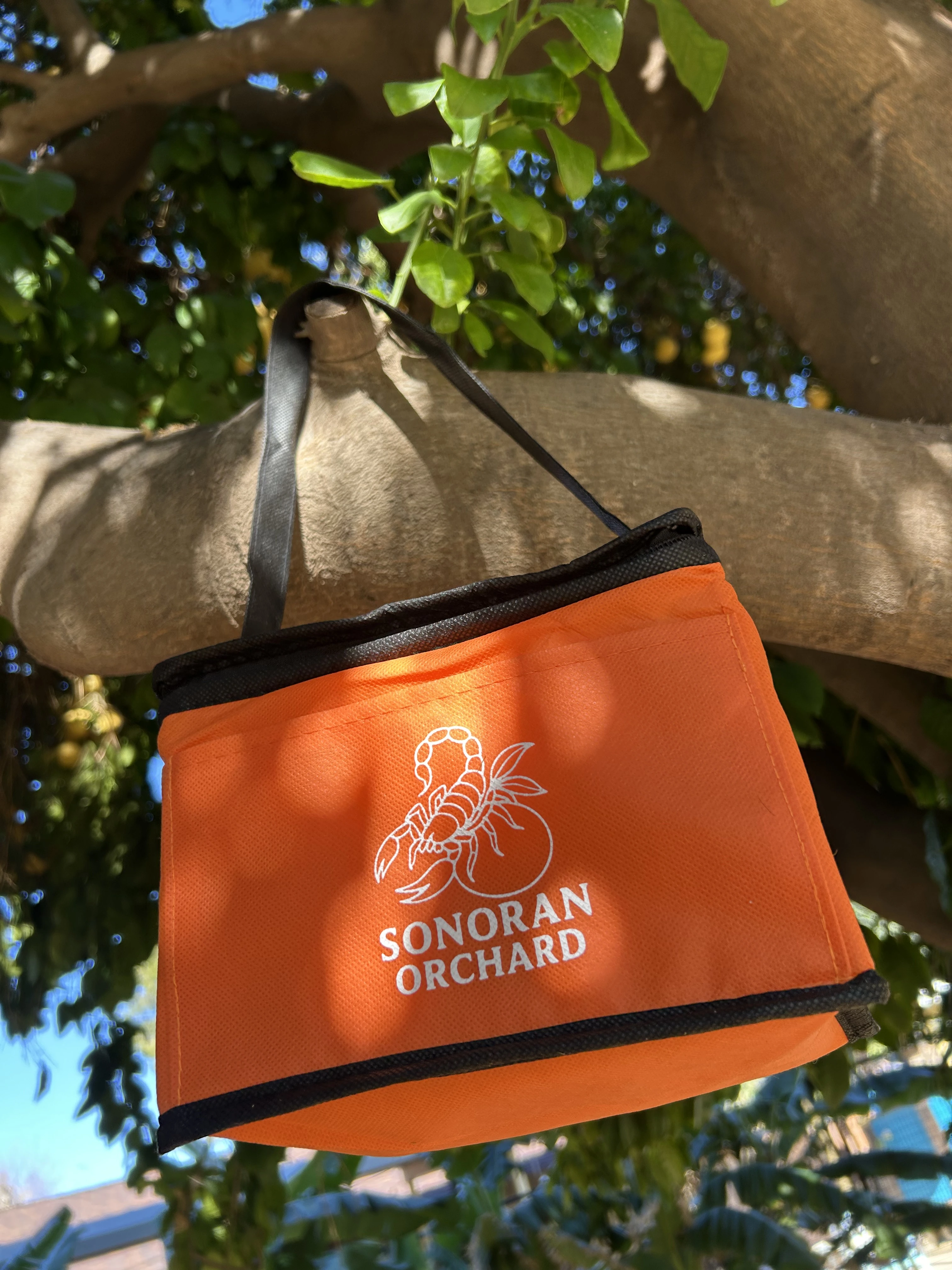 Bright orange 6-pack cooler bag with logo